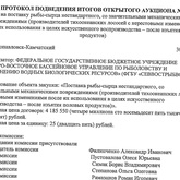 Протокол подведения итогов открытого аукциона