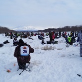 Более 300 рыбаков приняли участие в фестивале по подлёдному лову корюшки