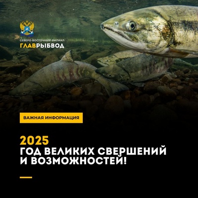 Планы на 2025 год.