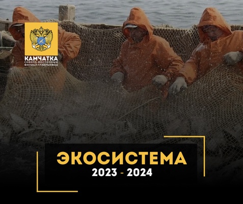 Экосистема 2023 - 2024