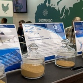 Отраслевая наука создаст основу для масштабного отечественного производства рыбных кормов