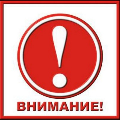 Приглашаем на участие в открытом аукционе в электронной форме по продаже рыбы сырца