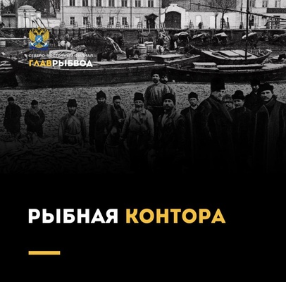 Интересный факт