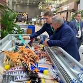 В Подмосковье открылась 24-я агропромышленная выставка «Золотая осень»