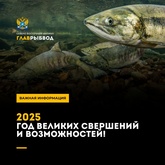 Планы на 2025 год.